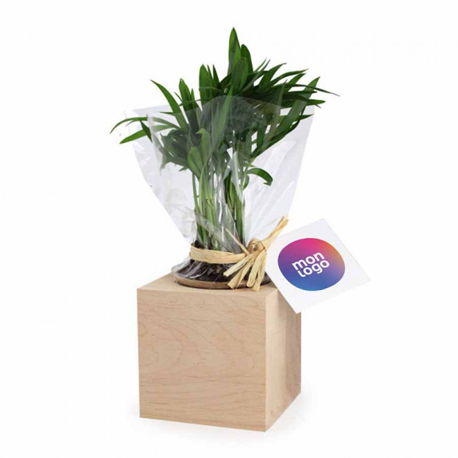 CUBE EN BOIS PERSONNALISABLE AVEC PLANTE OU ARBRE 'HARWOR'
