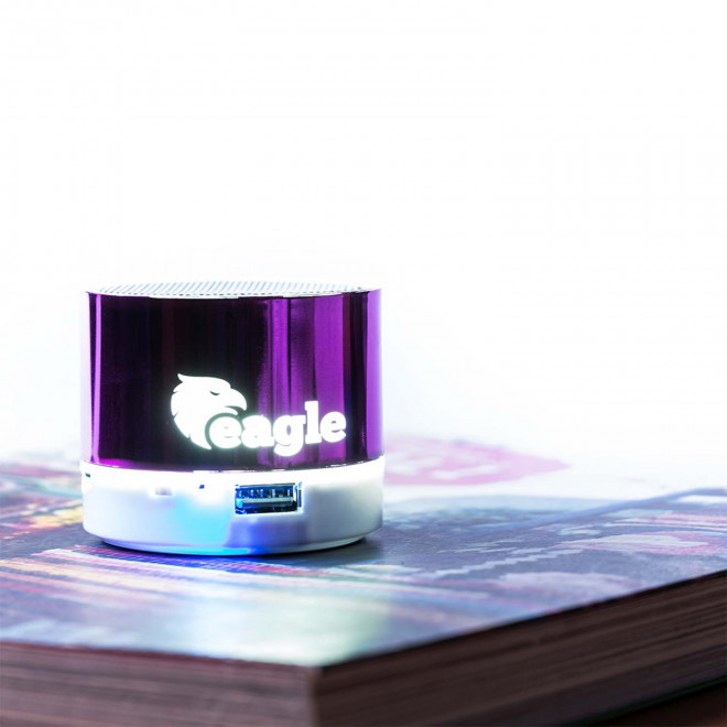 ENCEINTE PERSONNALISABLE 3W LOGO LUMINEUX 'NOVALUMI'