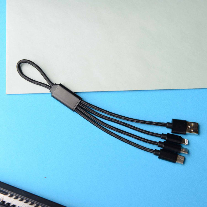 KIT PERSONNALISABLE BATTERIE ET CABLE 'PRATIK'