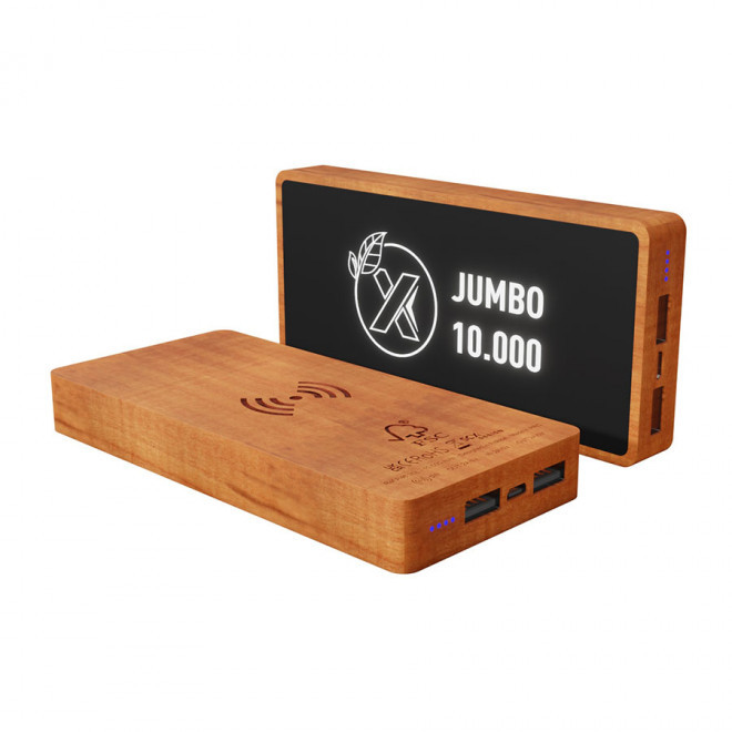 BATTERIE DE SECOURS PERSONNALISÉE ECO SCX® 'JUMBO'