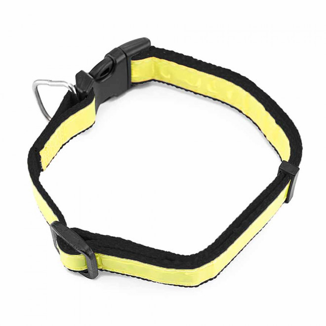 COLLIER PERSONNALISABLE POUR ANIMAUX 'FRIZON'