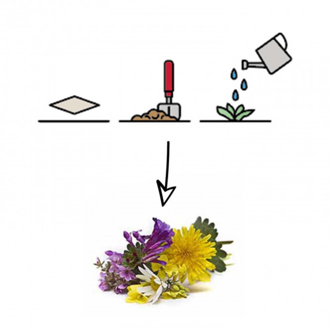 PAPIER ENSEMENCE MIE PERSONNALISE 'HORTUS' A6