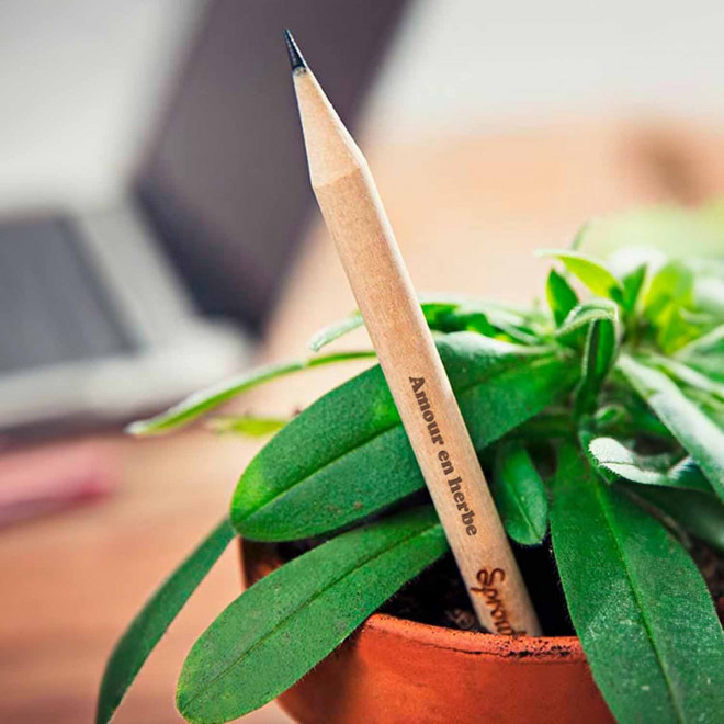 CRAYON GRAINES AVEC CARTONETTE PERSONNALISABLE 'POUSS ST VALENTIN' 