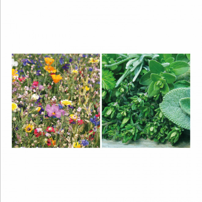 BOMBE A GRAINES PERSONNALISABLE 'BLOMA QUADRI'