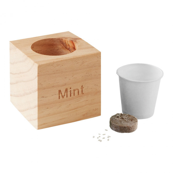 KIT DE PLANTATION CUBE AN BOIS PERSONNALISABLE 'HAZIA'