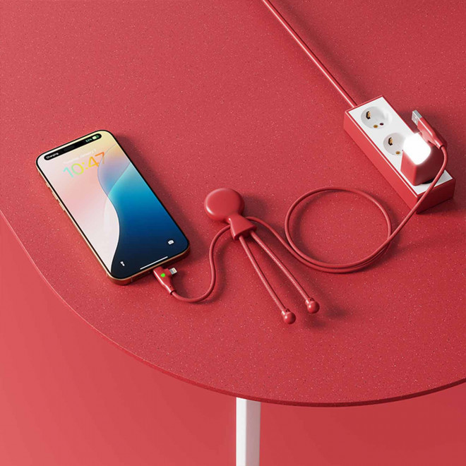 CABLE DE CHARGE PERSONNALISABLE 'MR BIO LONG FAST 60W'