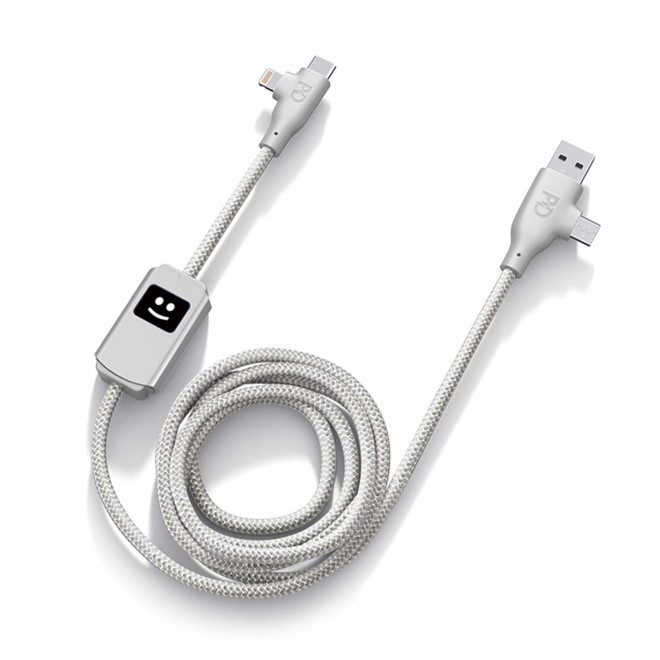 RAPIDE 72H - CABLE CHARGE PERSONNALISE 100W 'ALLURE' - gris clair