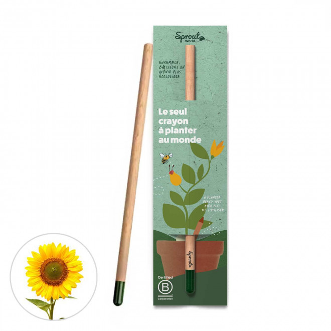 CRAYON GRAINES PERSONNALISÉ CARTONNETTE 'POUSS' - tournesol