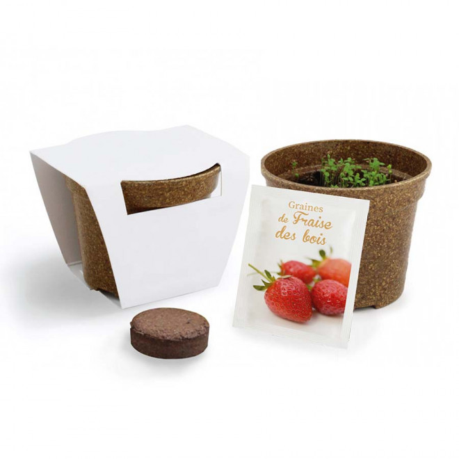 KIT PERSONNALISABLE DE PLANTATION JARDIN ECOLO 'ARROZY RRIZ' - fraise des bois