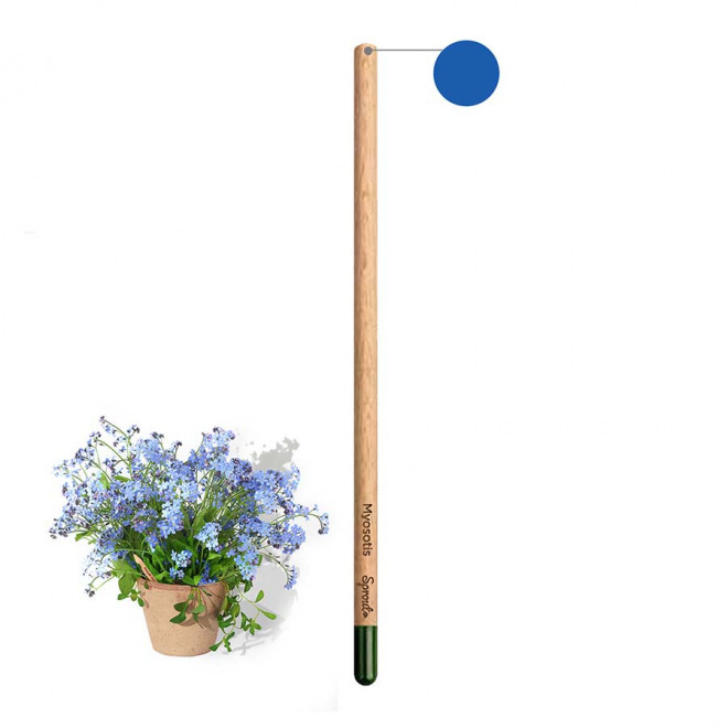 CRAYON COULEUR GRAINES PERSONNALISABLE 'POUSS COLOR' - myosotis