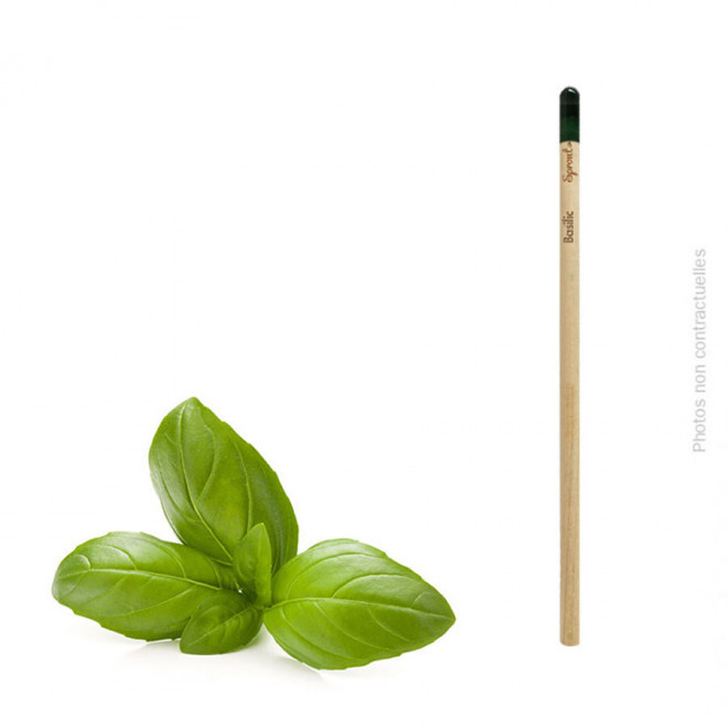 CRAYON À PAPIER PERSONNALISÉ AVEC GRAINES 'POUSS' EXPRESS 24H - basilic