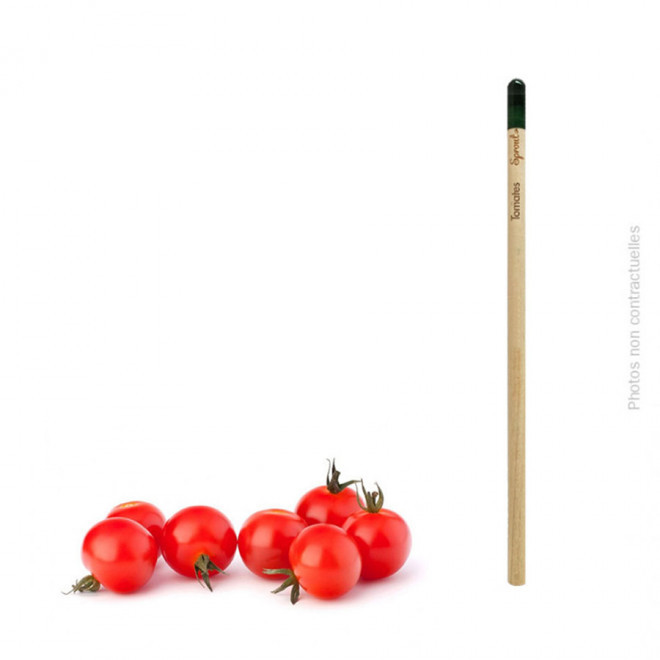 CRAYON À PAPIER PERSONNALISÉ AVEC GRAINES 'POUSS' EXPRESS 24H - tomate cerise