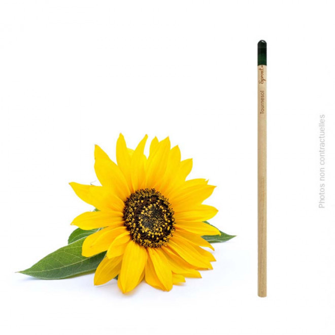 CRAYON À PAPIER PERSONNALISÉ AVEC GRAINES 'POUSS' EXPRESS 24H - tournesol
