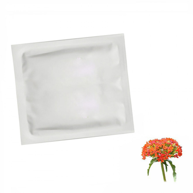 SACHET DE GRAINES PERSONNALISABLE EN QUADRI  'PLANTAI XS' - croix de jérusalem