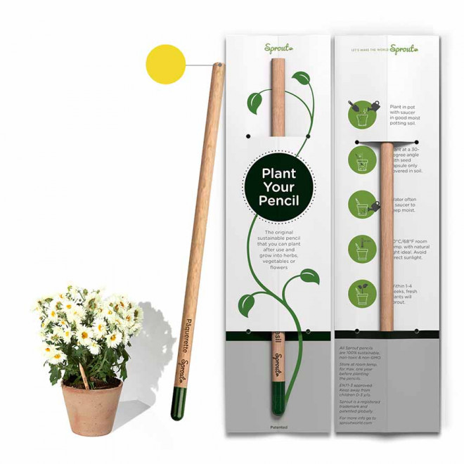 CRAYON DE COULEUR PERSONNALISABLE CARTONNETTE 'POUSS COLOR' - marguerite