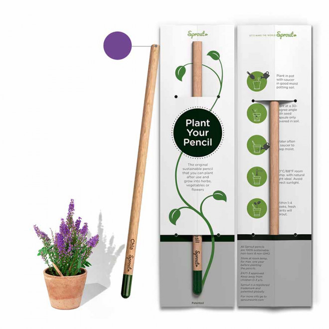 CRAYON DE COULEUR PERSONNALISABLE CARTONNETTE 'POUSS COLOR' - chia