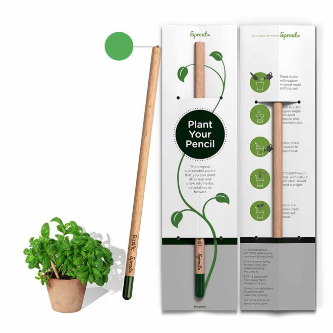 CRAYON DE COULEUR PERSONNALISABLE CARTONNETTE 'POUSS COLOR' - basilic