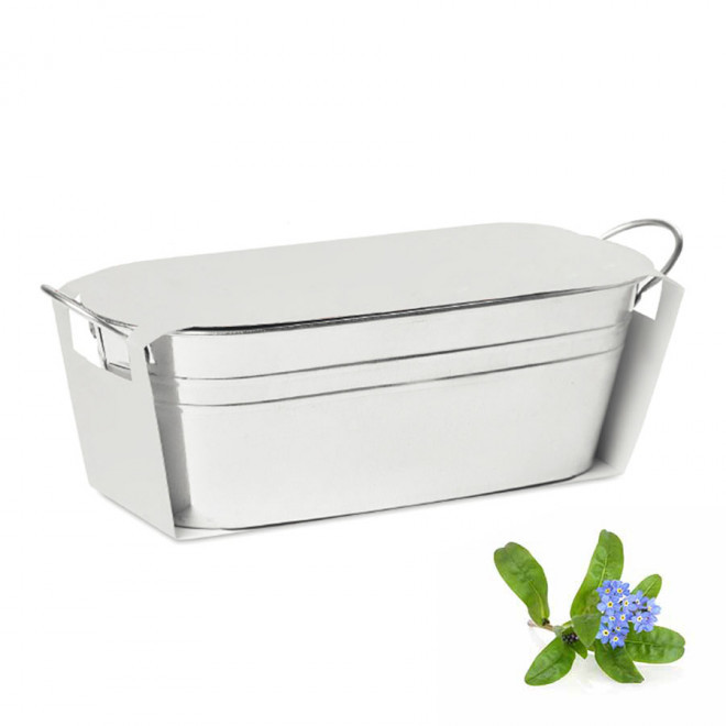 BAC A PLANTES PUBLICITAIRE 'BACAN BLANC' - myosotis