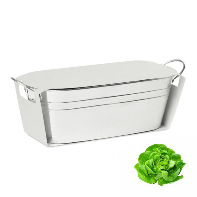 BAC A PLANTES PUBLICITAIRE 'BACAN BLANC' - salade