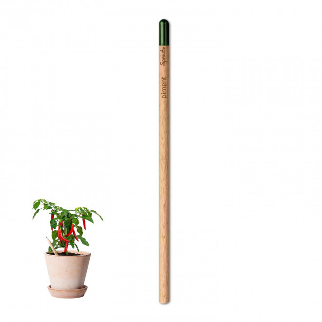 CRAYON PAPIER GRAINES PERSONNALISABLE 'POUSS' - piment