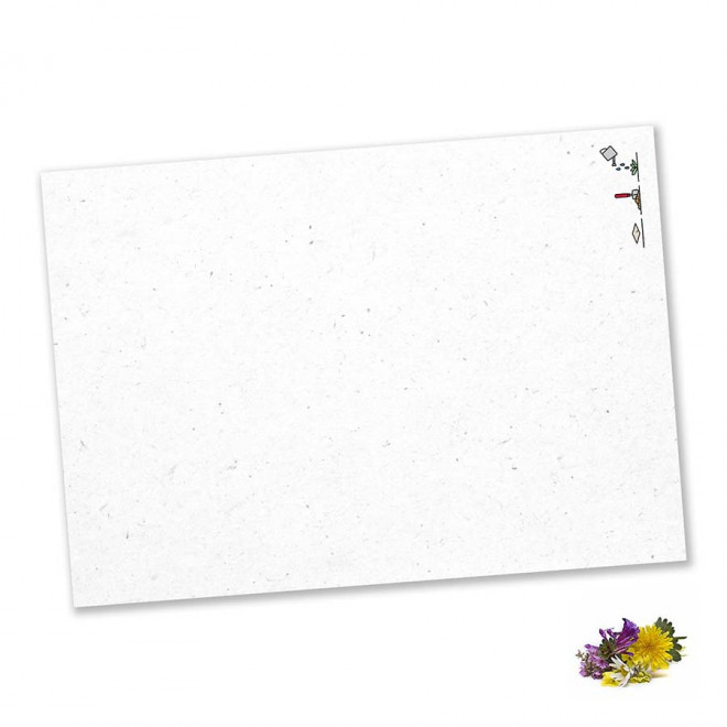 PAPIER ENSEMENCE MIE PERSONNALISABLE 'HORTUS' A4 - mélange de fleurs sauvages