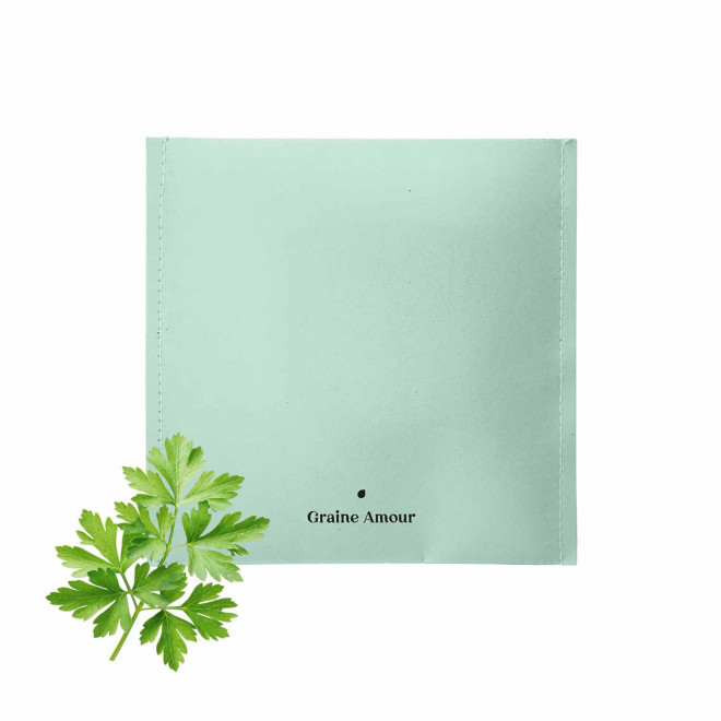 EXPRESS 72H - SACHET GRAINES PERSONNALISABLE 'SEMILLA'  - vert eau