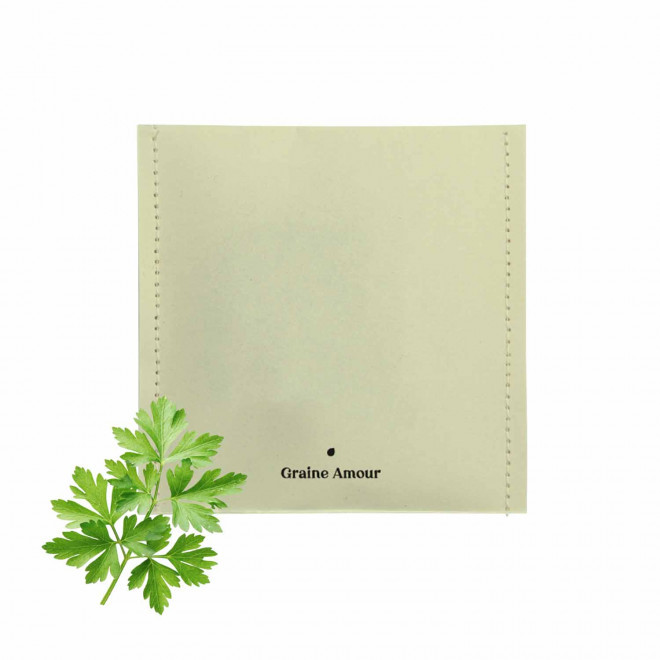 EXPRESS 72H - SACHET GRAINES PERSONNALISABLE 'SEMILLA'  - vert