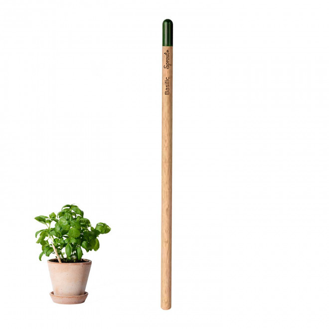 CRAYON PAPIER GRAINES PERSONNALISABLE 'POUSS' - basilic