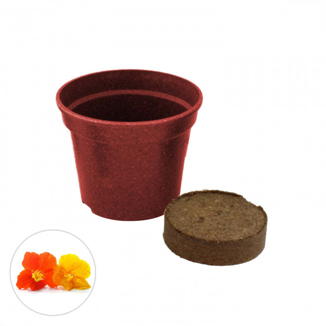 KIT PLANTATION PAILLE RIZ PERSONNALISABLE 'ARROSY COLOR' - rouge