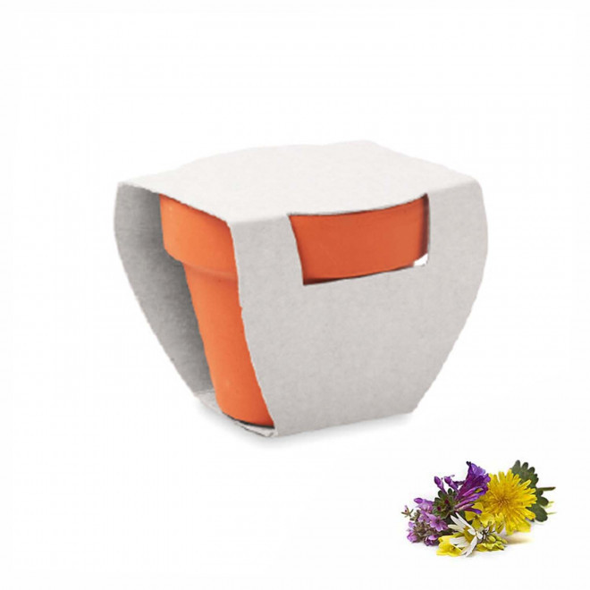 KIT DE PLANTATION PUBLICITAIRE 'POPPY QUADRI' - mélange de fleurs sauvages