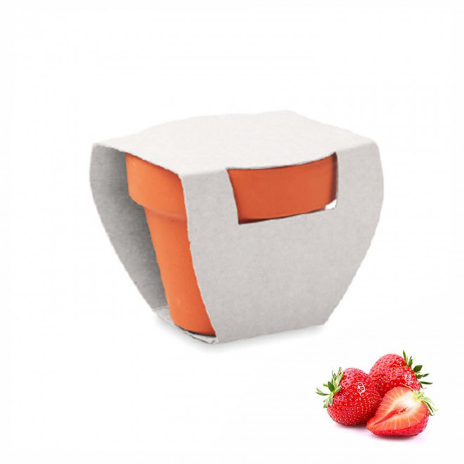 KIT DE PLANTATION PUBLICITAIRE 'POPPY QUADRI' - fraises