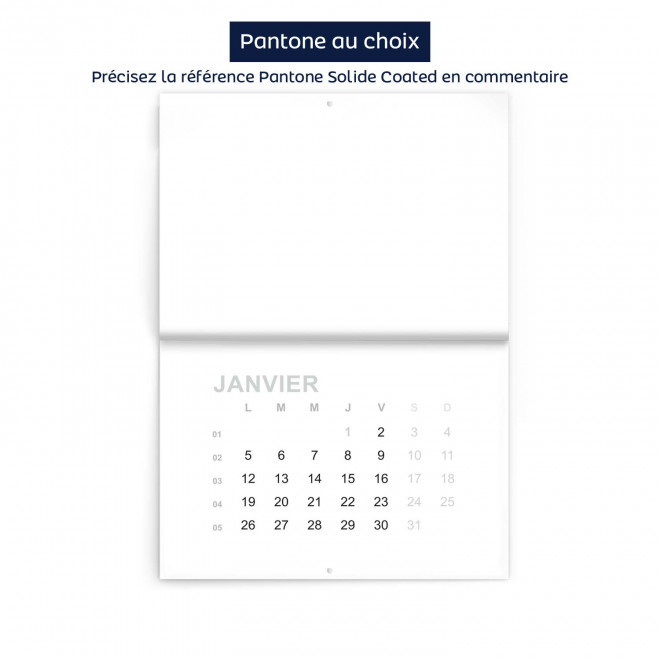 CALENDRIER MURAL PERSONNALISABLE A AGRAFES 'ALMANA' - pantone