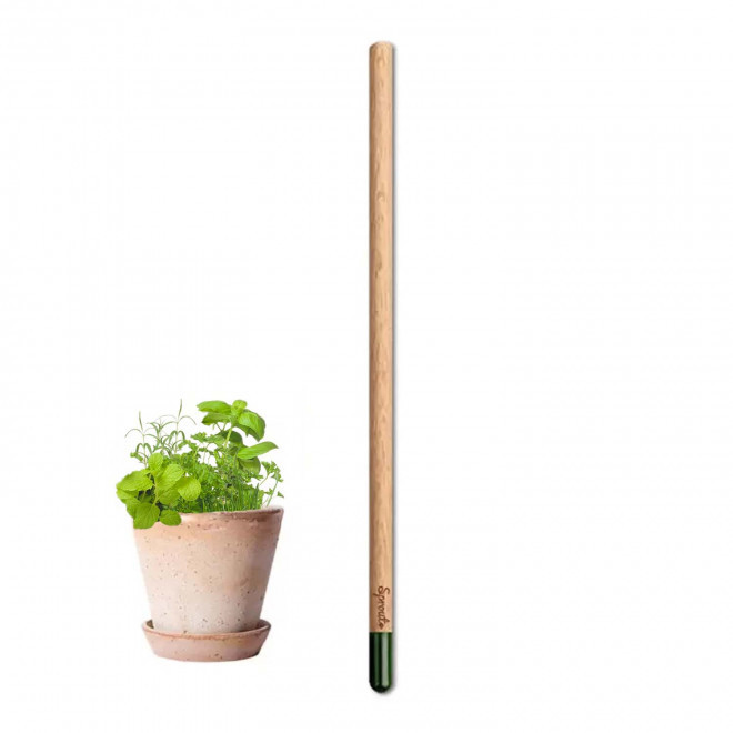 CRAYON GRAINES CARTONETTE PERSONNALISABLE 'POUSS'    - mélange aromatiques