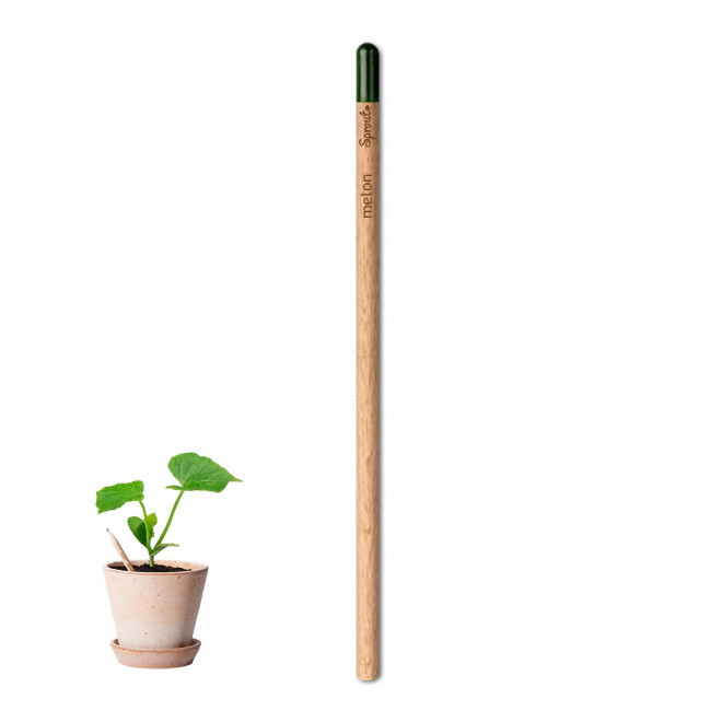 CRAYON PAPIER GRAINES PERSONNALISABLE 'POUSS' - melon