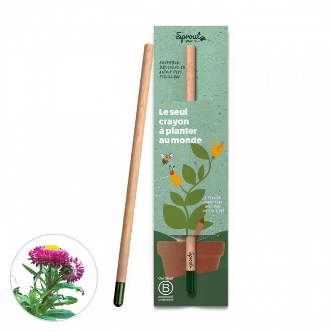 CRAYON GRAINES PERSONNALISÉ CARTONNETTE 'POUSS' - fleur