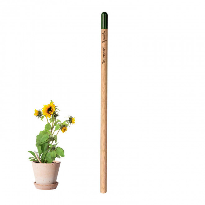 CRAYON PAPIER GRAINES PERSONNALISABLE 'POUSS' - tournesol