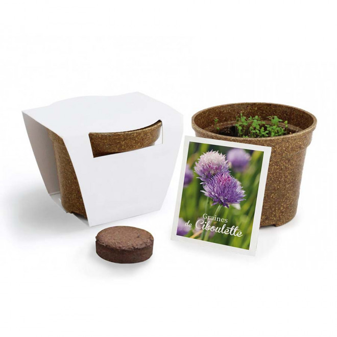 KIT PERSONNALISABLE DE PLANTATION JARDIN ECOLO 'ARROZY RRIZ' - ciboulette