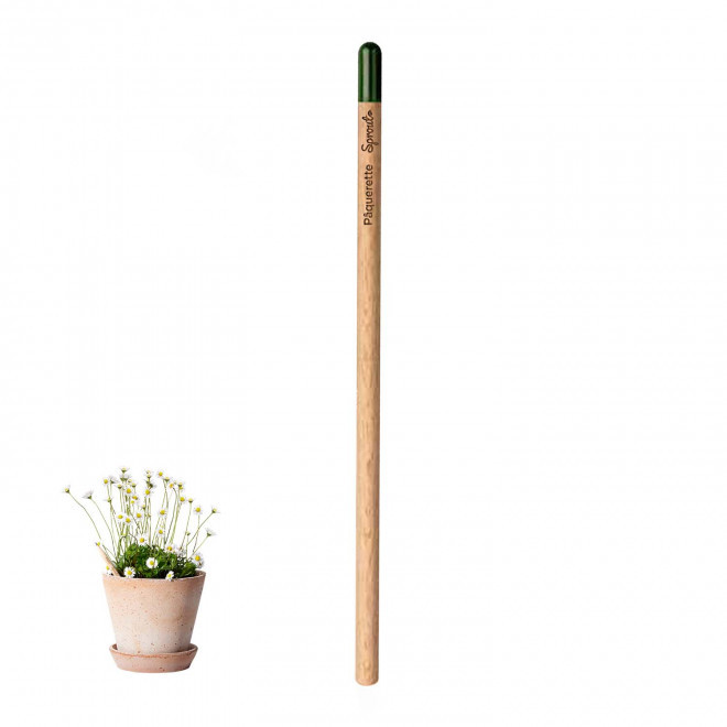 CRAYON PAPIER GRAINES PERSONNALISABLE 'POUSS' - marguerite