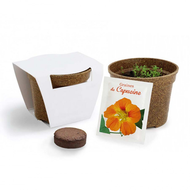 KIT PERSONNALISABLE DE PLANTATION JARDIN ECOLO 'ARROZY RRIZ' - capucine