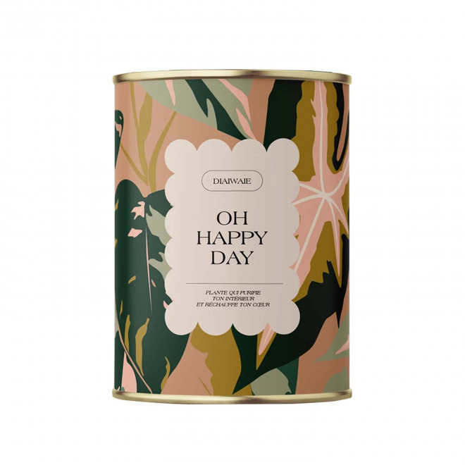 PLANTE EN POT PERSONNALISABLE 'PURETE PETIT' - Oh happy day