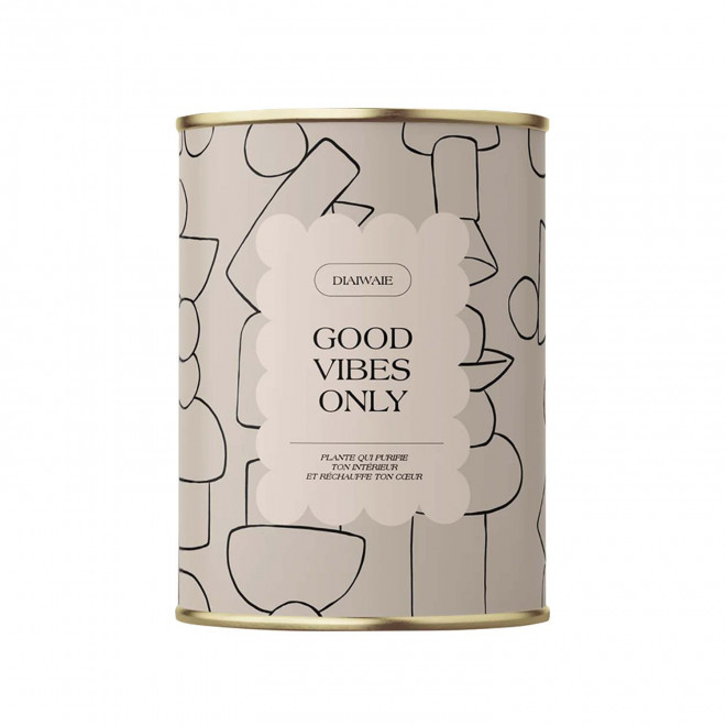 PLANTE EN POT PERSONNALISABLE 'PURETE PETIT' - Good vibes only