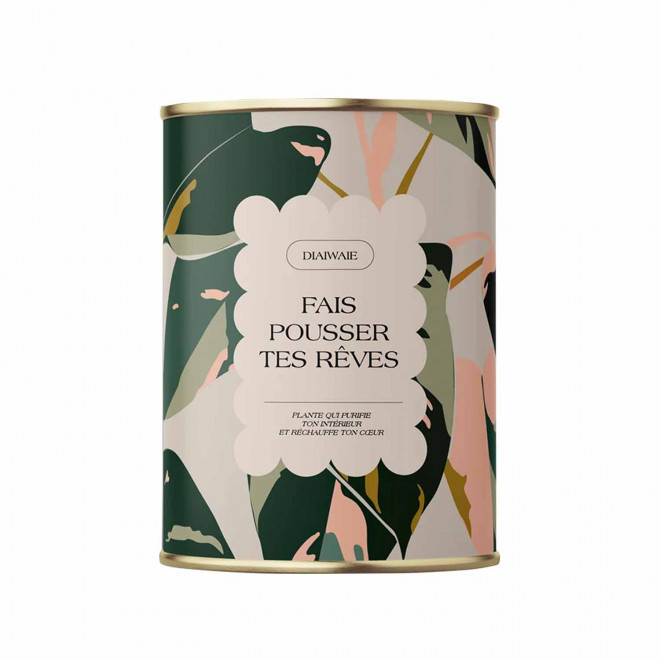 PLANTE EN POT PERSONNALISABLE 'PURETE GRAND' - Fais pousser tes rêves