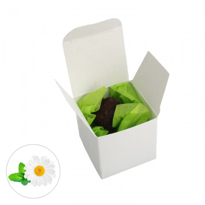 BOMBE À GRAINES PUBLICITAIRE 'BOULY' - camomille matricaire