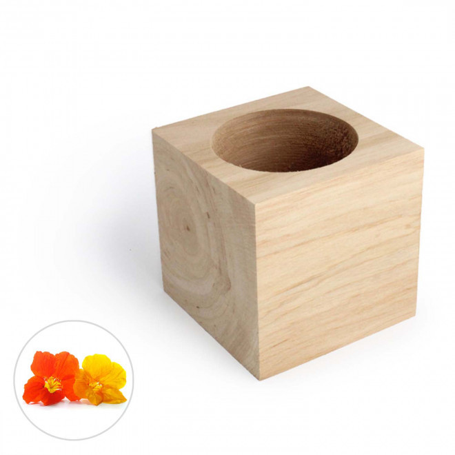 CUBE EN BOIS À GRAINES PERSONNALISÉ 'EPIA' - capucine
