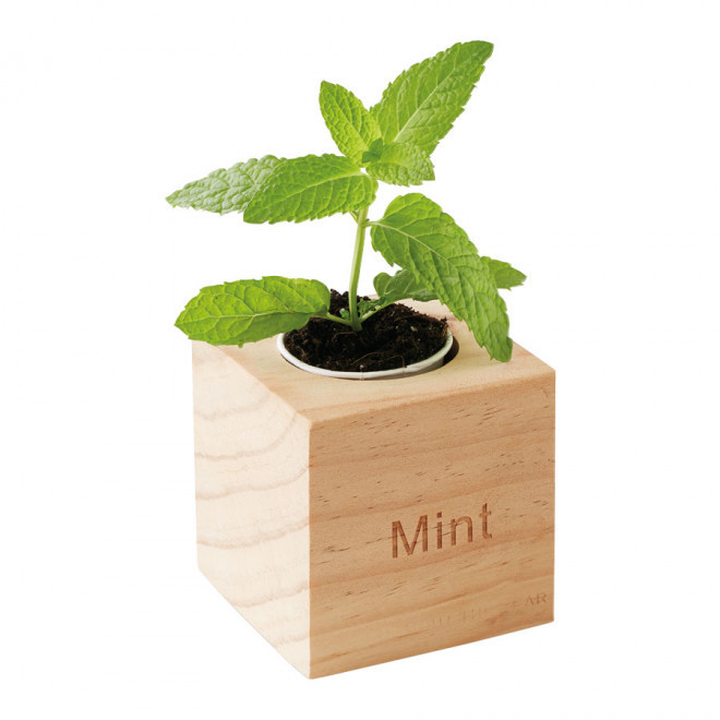 KIT DE PLANTATION CUBE EN BOIS PERSONNALISABLE 'HAZIA' - menthe