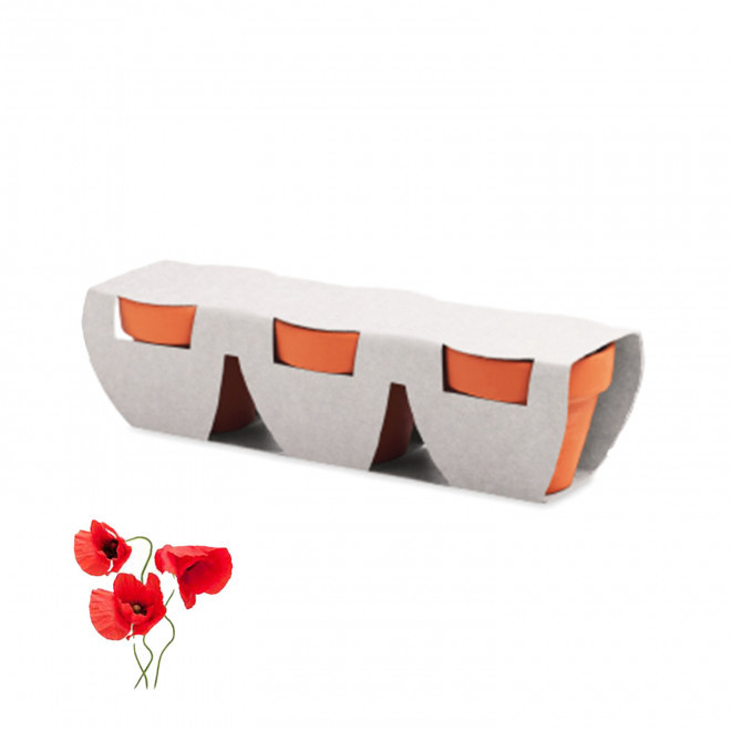 KIT DE PLANTATION PERSONNALISABLE 'POPPY QUADRI TRIO' - coquelicot