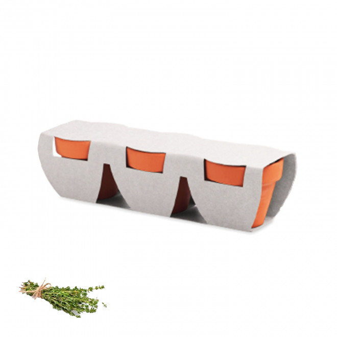 KIT DE PLANTATION PERSONNALISABLE 'POPPY QUADRI TRIO' - thym