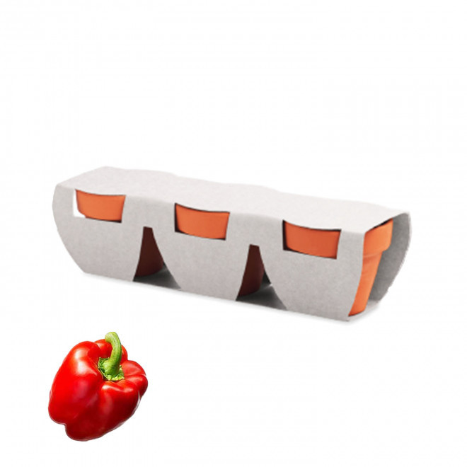 KIT DE PLANTATION PERSONNALISABLE 'POPPY QUADRI TRIO' - poivrons