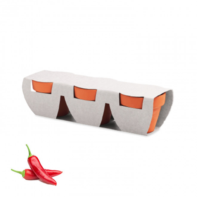 KIT DE PLANTATION PERSONNALISABLE 'POPPY QUADRI TRIO' - piments