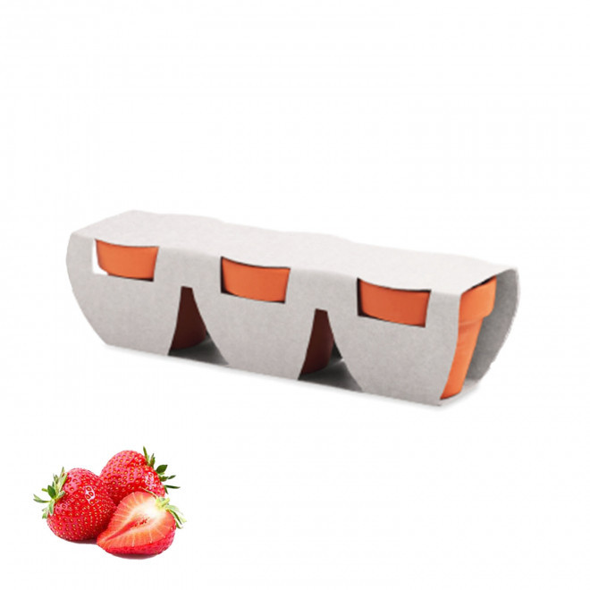 KIT DE PLANTATION PERSONNALISABLE 'POPPY QUADRI TRIO' - fraises